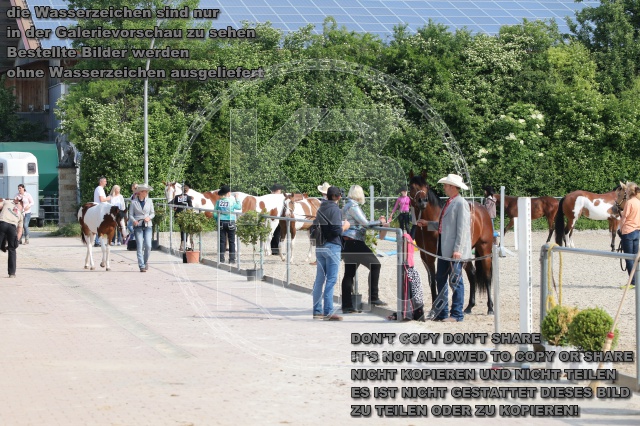 s_IMG_5486.JPG